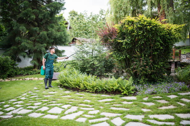 Professional Tree Services in Oak Hills, CA